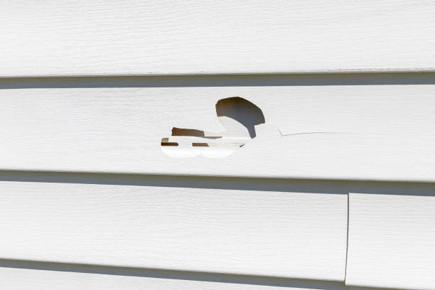Best Insulated Siding Installation  in Shawneeland, VA