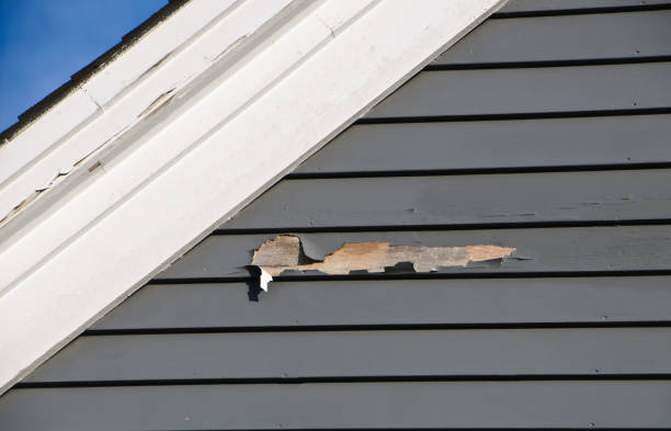 Best Residential Vinyl Siding Installation  in Shawneeland, VA