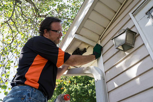 Best Siding for New Construction  in Shawneeland, VA